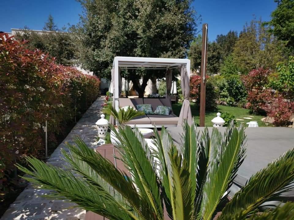 Apulia Dream B&B Le Lamie di Olimpe Extérieur photo